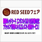 ＲＥＤ ＳＥＥＤフェア！