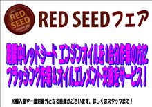 ＲＥＤ ＳＥＥＤフェア！