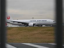 金網越しに、見えるのは。。。