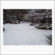 今シーズン初積雪