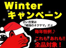 大特価♪みんカラ限定★ Winterキ ャ ン ペ ー ン ★ 最大20％OFF・全品対象!!