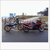 ZX-11復活！！
