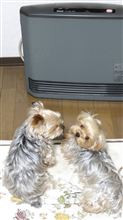 外は寒いがここは？