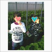 思い付きで