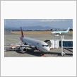 キムチ航空二態