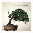 今年のクリスマスソングは・・・