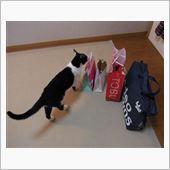 クリプレ？　o(^▽^)oｷ ...