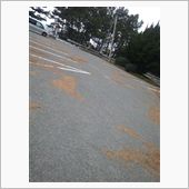 今年最後のふくおは…(笑)