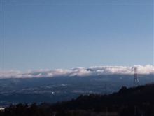 寒びーデービスジュニア・・・・・