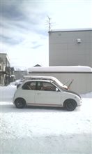 コレの細道
