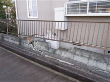 アクセルとブレーキ踏み違いか?