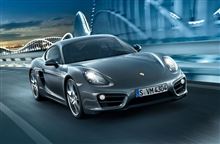 981 Cayman 発注 981 Cayman 発注