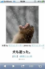 しゃむ的２０１２アニメBEST５