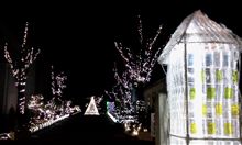 今日はクリスマスイブでしたね！