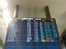 インフルエンザと成田空港お迎え インフルエンザと成田空港お迎え