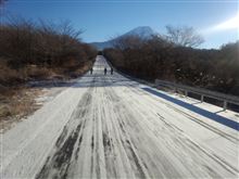 冬の朝霧