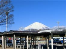 今日は寒かったですね...