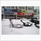 ☆　ＣＲＵＩＳＥ 今日の朝イ ...