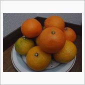 イチゴは失敗だったので