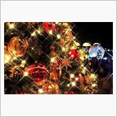 今年のクリスマスはセクシーサ ...