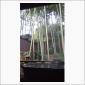 花園深谷温泉・花湯の森