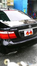 噂のこの車と遭遇しました！