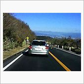 鹿が飛び出してきた