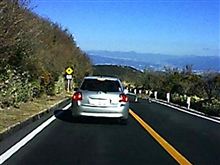 鹿が飛び出してきた