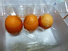 タマゴ食べたらタマゴン タマゴ食べたらタマゴン