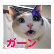 インクが無い !!