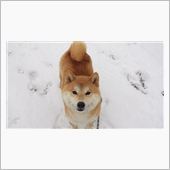 天気予報は雨だったのに。。