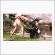 Dead or Alive 5