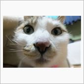 明日から休みだ、、、。