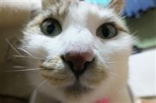 明日から休みだ、、、。