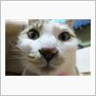 明日から休みだ、、、。