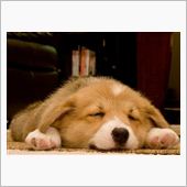 本日は仕事納め・・・♪