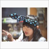昆虫
