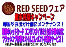 好評につき　REDSEEDフェア　本日緊急開催！