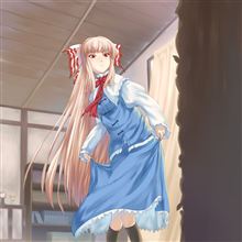 【AKIBA PC Hotline!企画】『アキバで見つけた変なモノ大賞 2012年版』