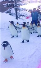 お持ち帰りしたかった(笑)
