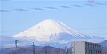 神奈川県平塚市田村町にて撮影