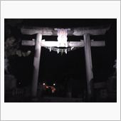 2012年最終のナイトラン