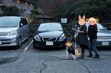 またまた、発作が抑えられず、ふと・・・