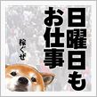 仕事納め？