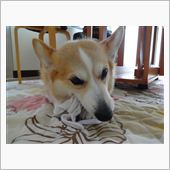 あちら地区　へ　二週レンチャ ...