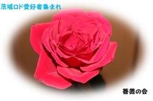 いっぱい遊んでくれてありがと(*^_^*) いっぱい遊んでくれてありがと(*^_^*)