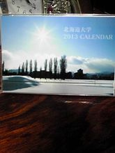 カレンダーを2013年版に～
