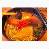 今日のお昼