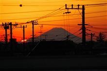 皆様、良いお年を…