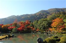 春夏秋冬